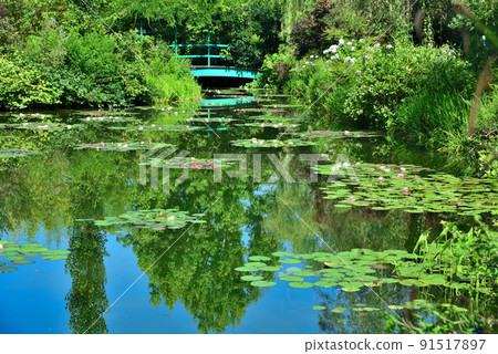 Water garden in Monet's garden, Kochi prefecture, famous for its blue water lilies 91517897