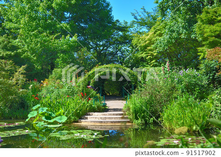 Water garden in Monet's garden, Kochi prefecture, famous for its blue water lilies 91517902