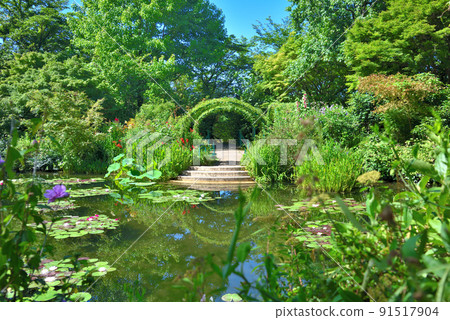 Water garden in Monet's garden, Kochi prefecture, famous for its blue water lilies 91517904