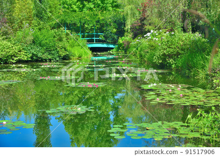 以藍色睡蓮聞名的高知縣莫奈花園的水上花園 91517906