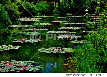 Water garden in Monet's garden, Kochi prefecture, famous for its blue water lilies 91517938