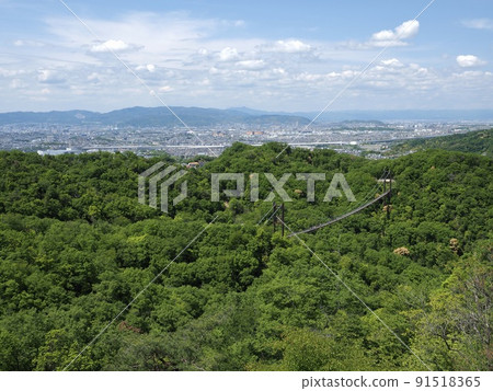 大阪星田公園展望台 91518365
