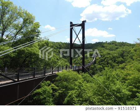 Osaka Hoshida Park Suspension Bridge Osaka Hoshida Park Suspension Bridge 91518371