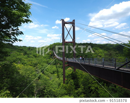 Osaka Hoshida Park Suspension Bridge Osaka Hoshida Park Suspension Bridge 91518378
