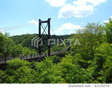 Osaka Hoshida Park Suspension Bridge Osaka Hoshida Park Suspension Bridge 91518379