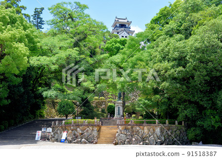 初夏的高知城天守閣 初夏的高知城天守閣 91518387