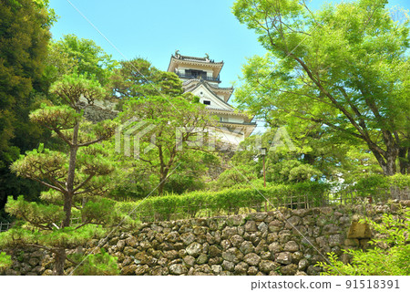 初夏的高知城天守閣 91518391