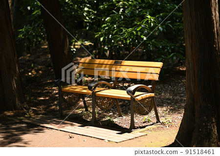 陽光照射的公園長椅 91518461