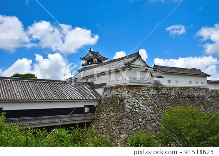 初夏的高知城天守閣 91518623