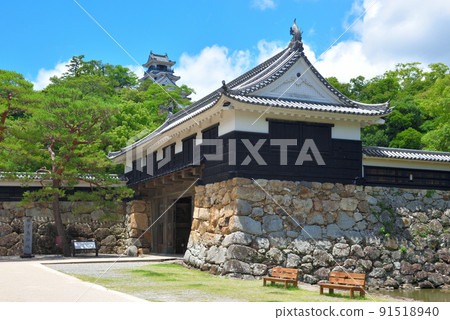 初夏的高知城天守閣 初夏的高知城天守閣 91518940