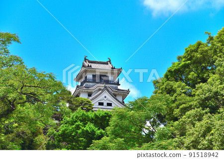 Kochi Castle castle tower in early summer Kochi Castle castle tower in early summer 91518942