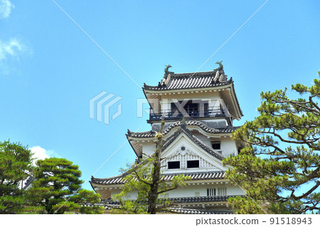 初夏的高知城天守閣 初夏的高知城天守閣 91518943