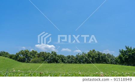 Summer trees and blue sky ｜ [Chiba] Chiharadai Park 91518949