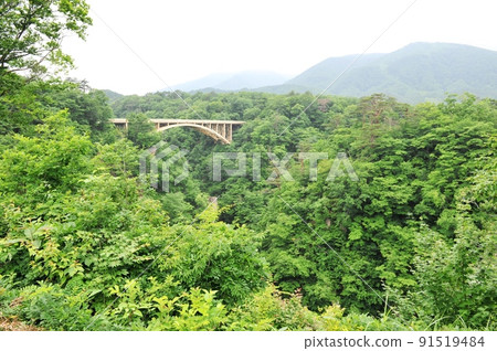 [從大崎市鳴子峽休息所看到的鳴子峽谷和回顧橋] 91519484