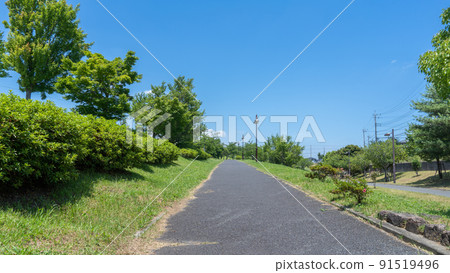夏日樹木藍天|【千葉】千原台公園 夏日樹木藍天|【千葉】千原台公園 91519496