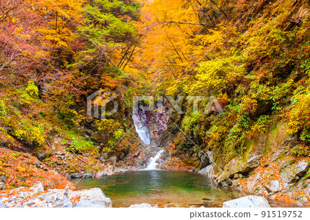 Ojiragawa Canyon (Autumn): Sengabuchi 91519752