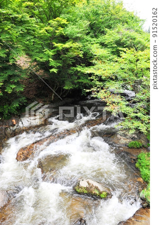 [Samegawa Village: Kowataki with a rapid flow] 91520162