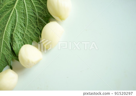 Perilla, garlic 91520297