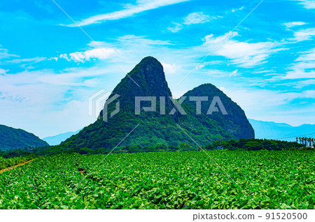 100 views of Japanese strange rocks Ibusuki Snoopy Mountain 91520500