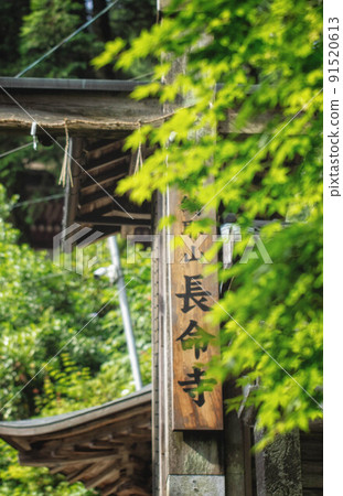 The scenery of the gate and fresh green of "Kayayama Chomeiji" in Omihachiman City, Shiga Prefecture The scenery of the gate and fresh green of "Kayayama Chomeiji" in Omihachiman City, Shiga Prefecture 91520613