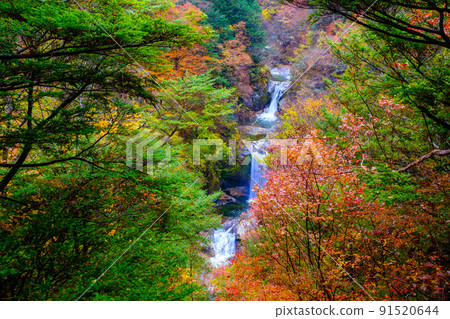 Ojiragawa Canyon: Kamijataki (Autumn) 91520644