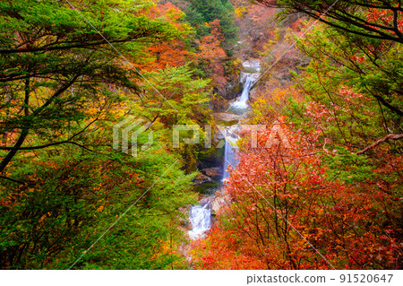 Ojiragawa Canyon: Kamijataki (Autumn) 91520647