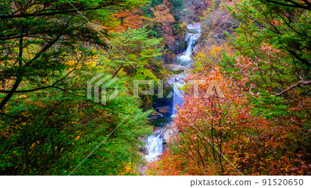 Ojiragawa Canyon: Kamijataki (Autumn) 91520650
