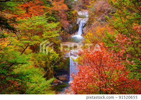 Ojiragawa Canyon: Kamijataki (Autumn) 91520655