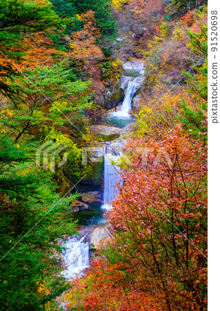 Ojiragawa Canyon: Kamijataki (Autumn) Ojiragawa Canyon: Kamijataki (Autumn) 91520698