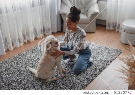 Top view of mixed-race pretty joyful female chilling at living room playing with pet Top view of mixed-race pretty joyful female chilling at living room playing with pet 91520772