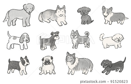 手繪可愛狗狗套裝單色 91520823