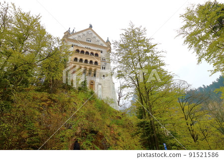 Neuschwanstein Castle Germany Neuschwanstein Castle Germany 91521586