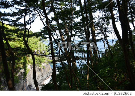 城崎海岸的門若折橋 91522662