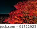 Autumn leaves lit up (Kiyomizu-dera 3) 91522923