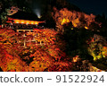 Autumn leaves lit up (Kiyomizu-dera 4) 91522924