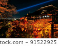 Autumn leaves lit up (Kiyomizu Temple 5) 91522925