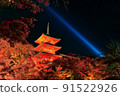 Autumn leaves lit up (Kiyomizu-dera 6) 91522926
