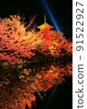 Autumn leaves lit up (Kiyomizu-dera 7) 91522927