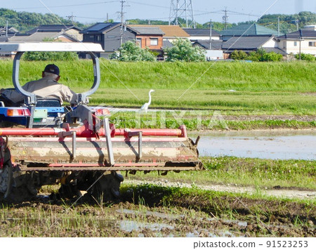 A tractor cultivating paddy fields and a flying heron A tractor cultivating paddy fields and a flying heron 91523253