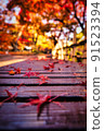 Autumn leaves falling on the bench 91523394