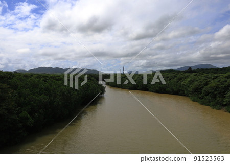 紅樹林自然生長的宮良川 / 沖繩縣石垣市 91523563