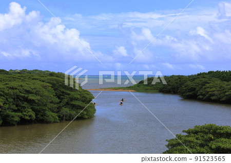 紅樹林自然生長的宮良川 / 沖繩縣石垣市 91523565