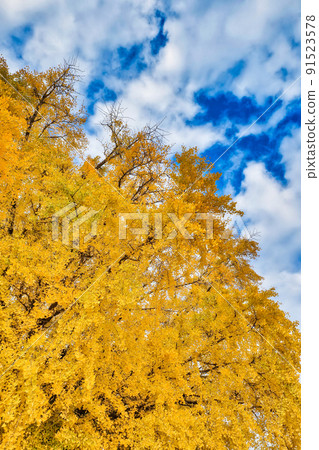 大和的大長和天空 大和的大長和天空 91523578