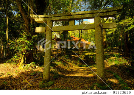 Forest precincts Forest precincts 91523639