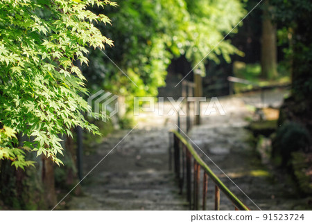 滋賀縣近江八幡市“茅山長明寺”的石階與初夏風景 滋賀縣近江八幡市“茅山長明寺”的石階與初夏風景 91523724