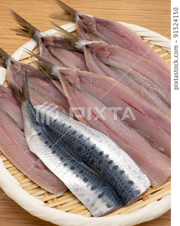 打開沙丁魚 打開沙丁魚 91524150