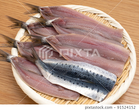 打開沙丁魚 91524152