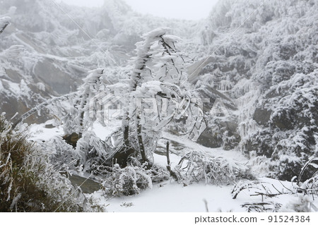 雪域景觀 91524384