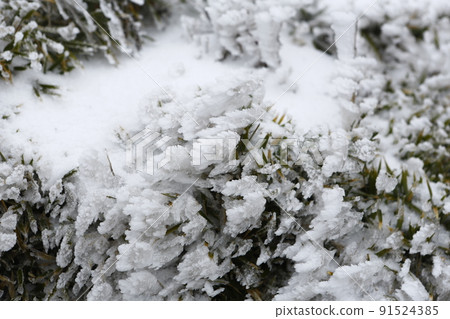 Snowy landscape 91524385