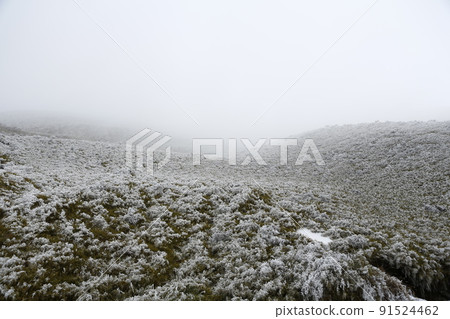 雪域景觀 91524462